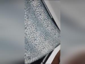 A bestial and exciting experience with Sara - Amateur zoophilia video