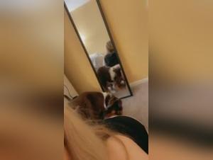 Extreme sex video with a dog and a blonde