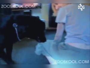 Vidéo de sexe bestial avec une blonde et son chien