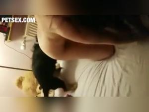 Bestial and exciting zoophilia video