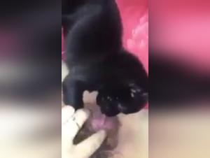 Forbidden love story: sex with dog