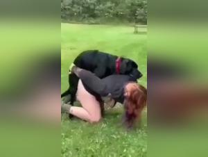 Experience the Thrill of Dog Sex