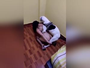 Sex video with dog: an unfaithful woman indulges in extreme practices