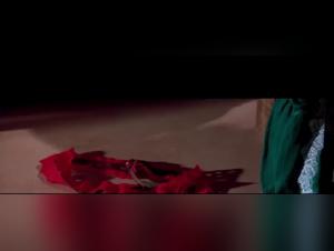 Watch the Most Shocking Donkey Sex Scenes in 'The Heartbreak Kid' (2007)