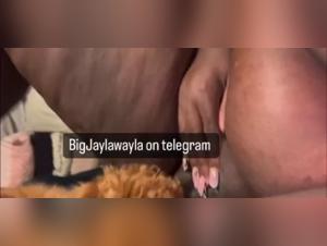 animal sexuality in the zoo