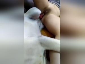 Bestiality sex video: a story of desire and transgression