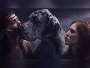 Discover Sex with a Dog in this Shocking Video
