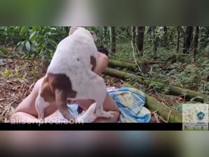 explicit zoophilia cartoons showcased