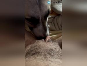 Its canine power, its ruthless ferment