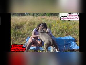 Esplora i limiti: scene stravaganti di scopate di cani