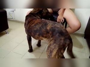 Discover the pleasures of zoophilia with this bestiality sex video