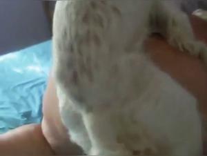 Bestiality sex video with dog