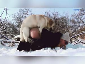 Canine Domination: When Passion Meets the Unexpected in Mo Bounce