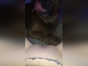 Dog sex video: A girl and her German dog