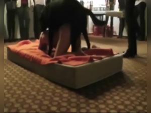 Bestiality Sex Videos: An Evening Like No Other