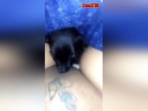 Sehen Sie, wie dieser Hund in diesem bestialischen Sexvideo die Muschi seiner Herrin leckt
