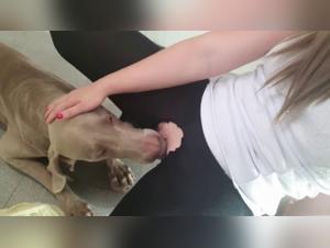 Sex with Dogs Videos - Pushing the Limits