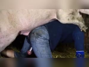 Bestial Video: A Woman and Her Canine Companion