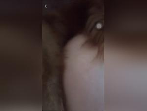 Une expérience de sexe bestialité extrême avec un chien