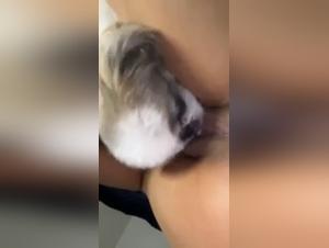 Bestiality Video: Sex with Dog