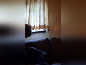 zoophilia and tiktok zoo