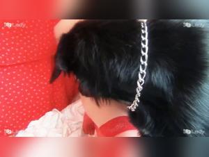 une chatte salope baise avec son chien et elle se moque de lui