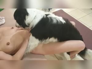 tiktok bestiality dogfucking