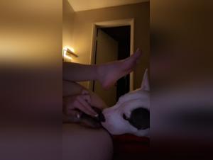 Zoophilia video with a dog and a young woman