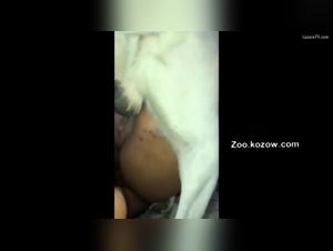 zooyouporn and muvisex