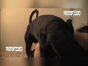 Discover the best of sex with animals on our site