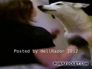 Vidéo Bestiale: Une Femme et Son Chien