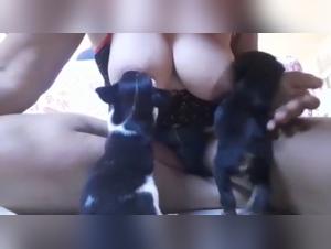 Extreme zoophilia video with a woman and her puppies