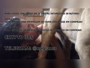 Zoophile, TikTok Zoo, Porno Animals