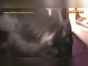 Bestiality Sex Video with a Blonde Teen and a Dog