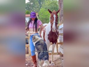 Discover Zoophilia Videos Featuring Dogs