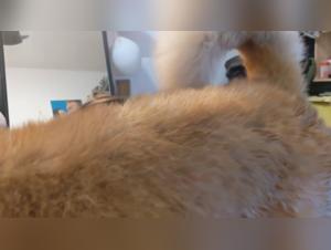 Les salopes les plus sexuelles : pute salopes salope chatte baise chatte lesbienne salopes