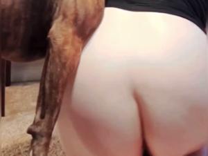 Erforschen Sie das Verbotene Vergnugen: Hunde, grosse Huren und verborgene Wunsche