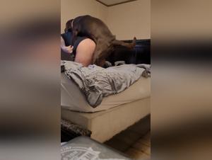 A unique experience of extreme sex with animals