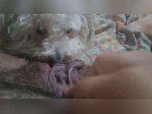 beastialityporn xxxanimal