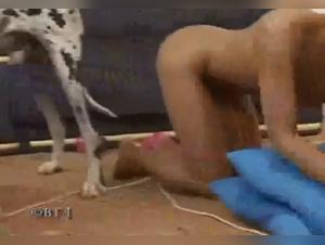 Bestiality sex porn for women brunette, blonde brunette brunette sex lesbian lesbian lesbian lesbian lesbian lesbian lesbian lesbian lesbian lesbian