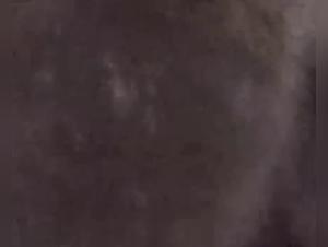 A story of passion and transgression