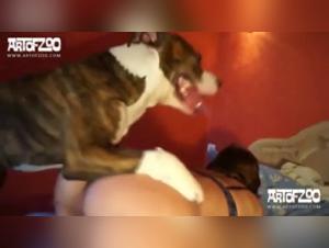 Bestiality Sex Videos - Watch Mary with a Dog