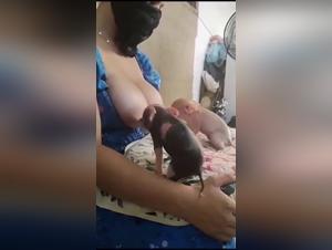 The Most Intriguing Phenomena of Animal Behavior