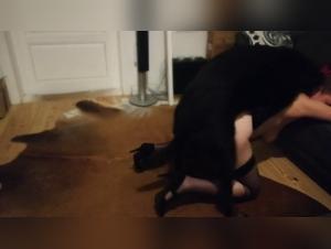 denise frazier bestialzoo