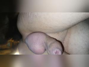 unveiling the allure of zoofilia tube