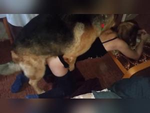 liberta sessuale sfrenata: il dominio canino rivelato