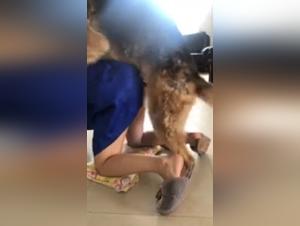 Seduzione canina: esplora il lato oscuro del desiderio