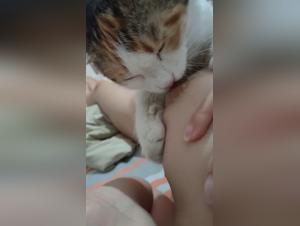 Dog Cumming: Exploring the Sensual Realm