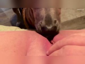 Hardcore zoophilia scene with a grandmother and a dog