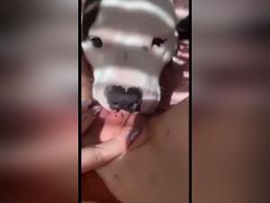 Discover the limits of ecstasy with our bestiality video